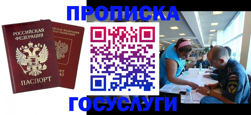 прописка поиск в Курчалом